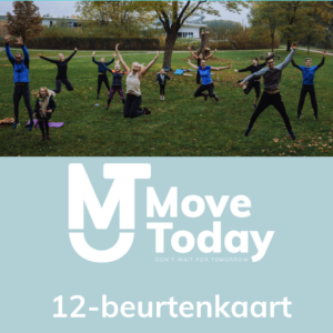 12-beurtenkaart
